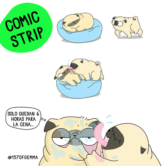 CUSTOM COMIC STRIP