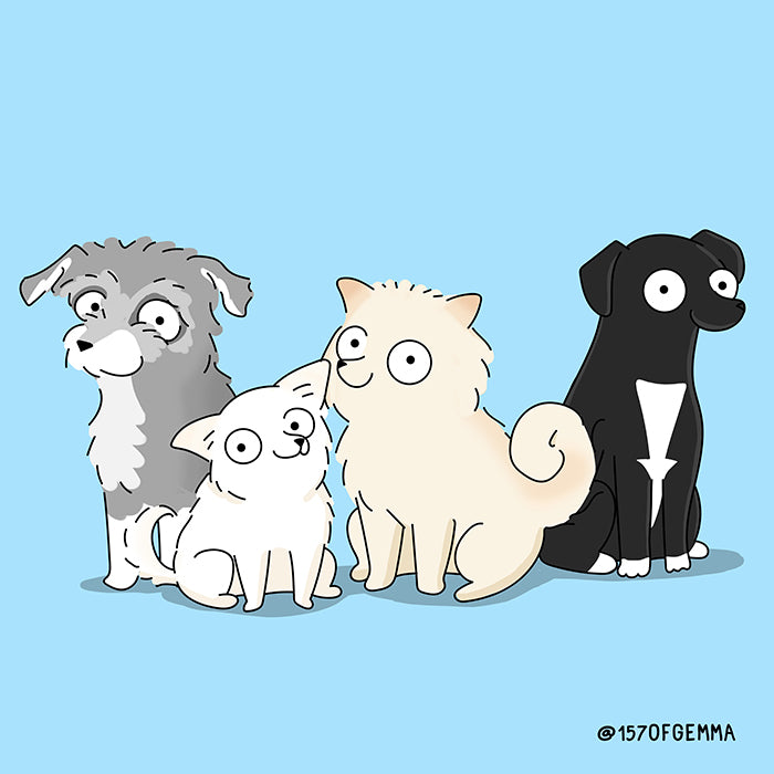 COLOR CUSTOM DRAWING